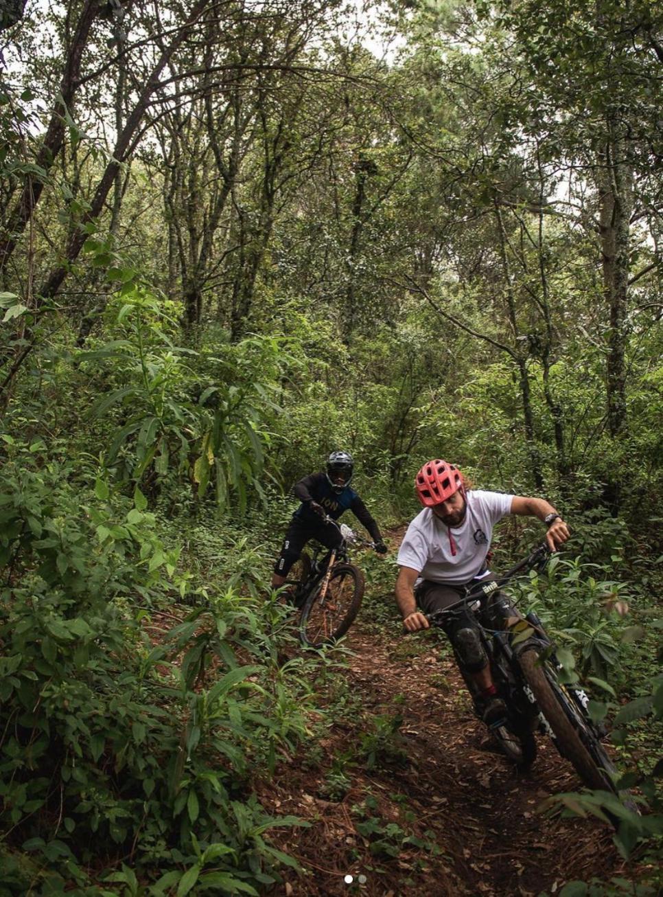 Coiros Bici, Y Bienestar *